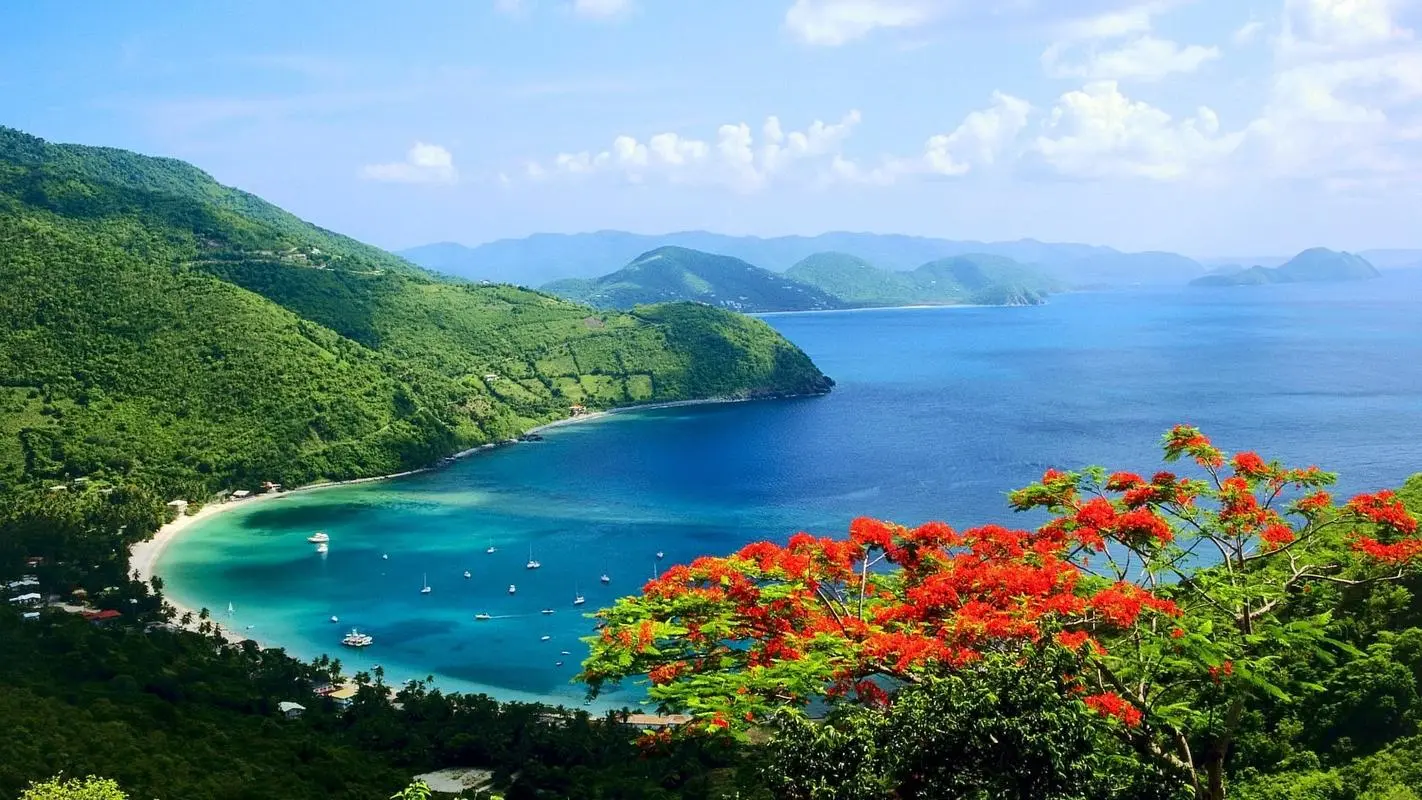 高效高精度